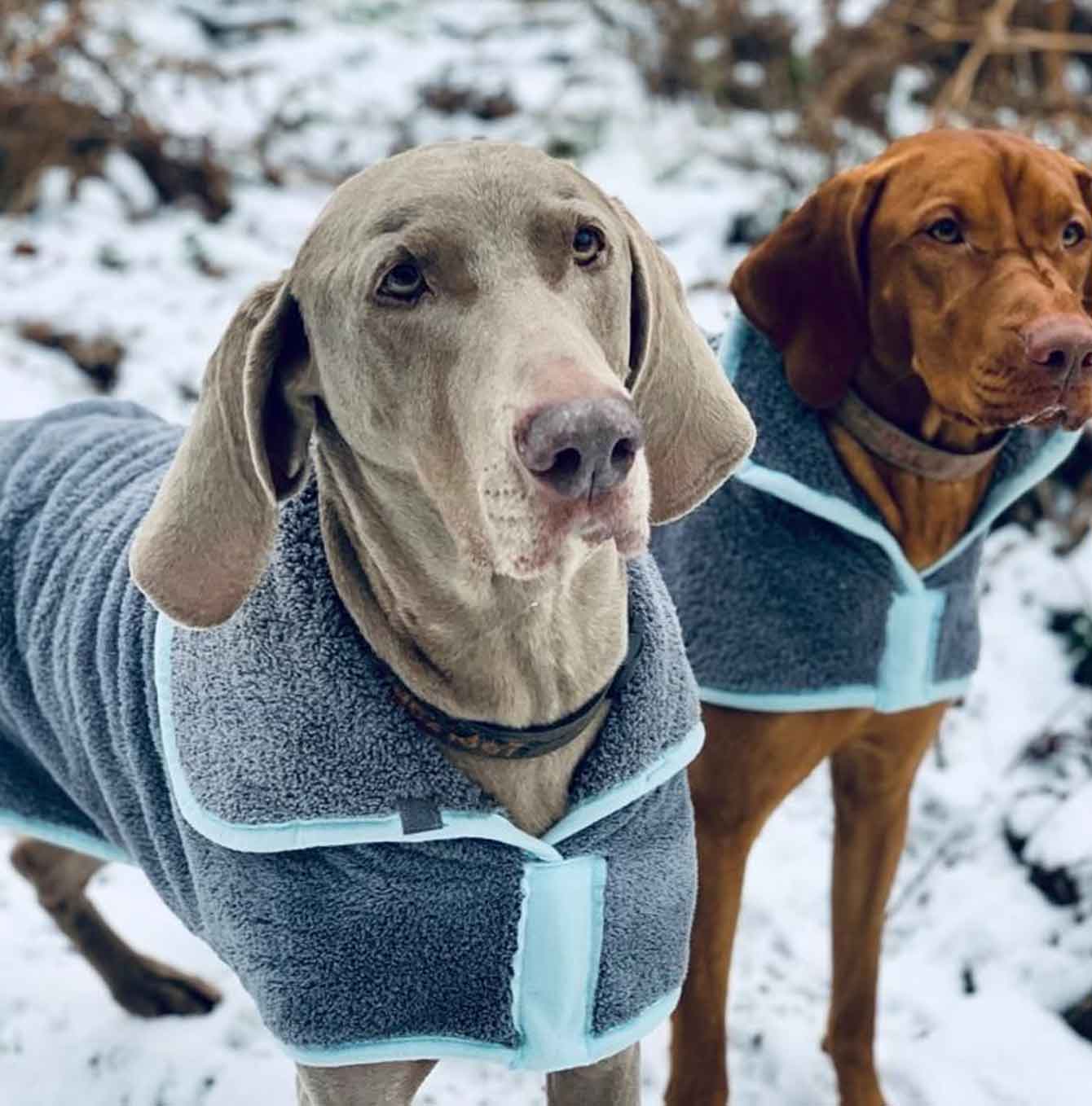 Henry Wag Drying Coat