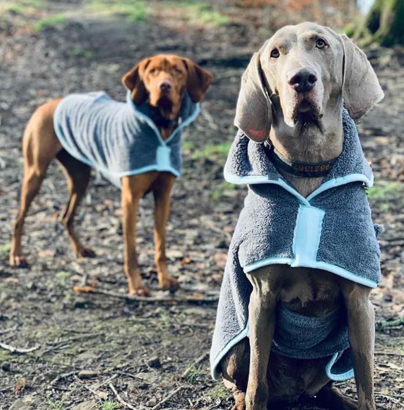 Henry Wag Drying Coat