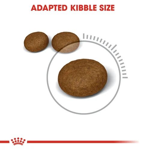 Royal Canin Hair and Skin Care Adult Cat Food 2kg