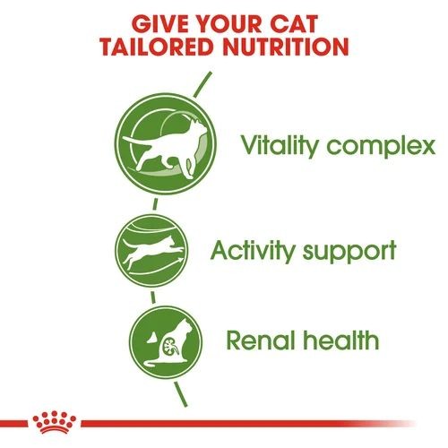 Royal Canin Active Life Outdoor Senior 7+ Cat Food 2kg