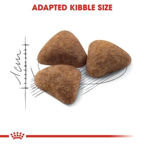 Royal Canin Home Life Indoor Adult Cat Food 2kg