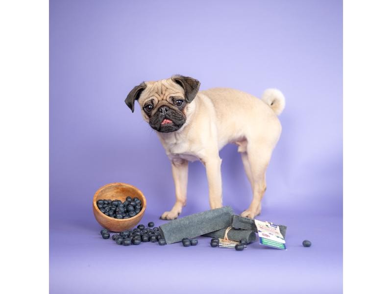 YAKERS Superfood Blueberry Medium Chew