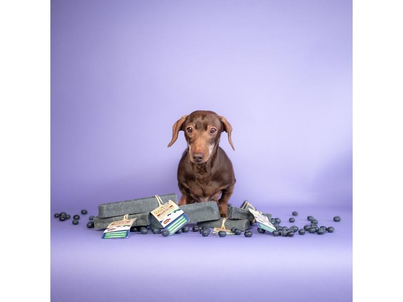 YAKERS Superfood Blueberry Medium Chew