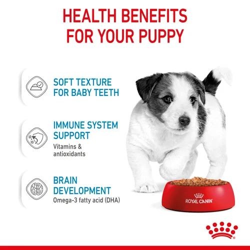 Royal Canin Wet Puppy Food In Gravy for Mini Breeds 12 x 85g