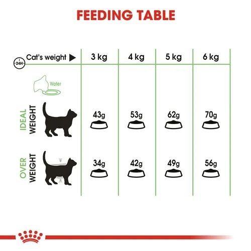 Royal Canin Digestive Care Adult Cat Food 2kg