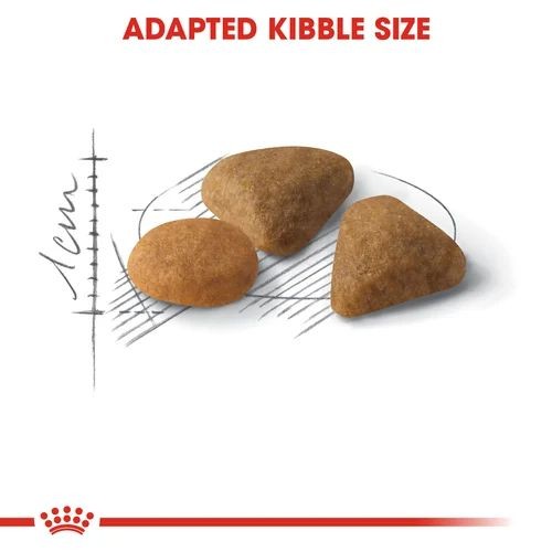 Royal Canin Feline Preference Savour Exigent Adult Cat Food 2kg