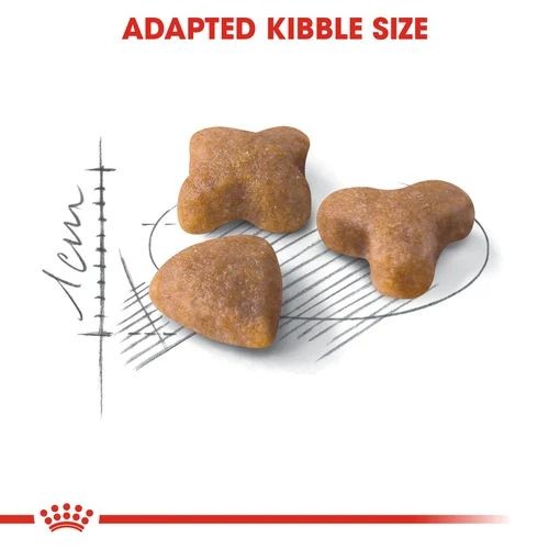 Royal Canin Regular Adult Maintenance Sensible 33 Adult Cat Food 2kg