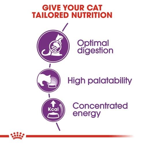 Royal Canin Regular Adult Maintenance Sensible 33 Adult Cat Food 400g