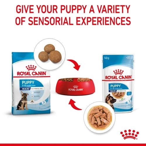 Royal Canin Nutrition Wet Puppy Food Maxi in Gravy 10 x 140g
