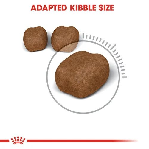 Royal Canin Oral Care Adult Cat Food 400g