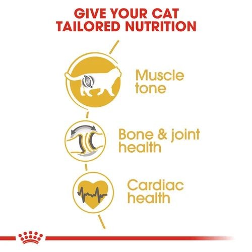 Royal Canin British Shorthair Adult Cat Food 2kg
