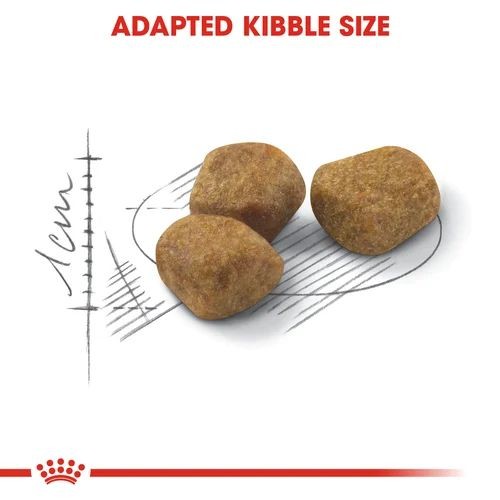Royal Canin Regular Adult Maintenance Fit 32 Adult Cat Food 400g