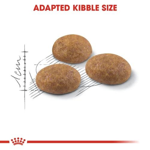 Royal Canin Active Life Outdoor Adult Cat Food 2kg