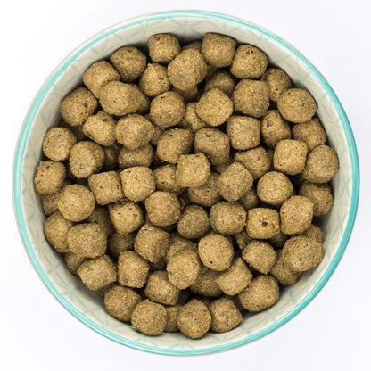 Burns Original with Fish Dog Food 2kg
