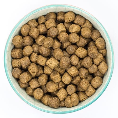 Burns Original with Chicken Puppy Food 6kg