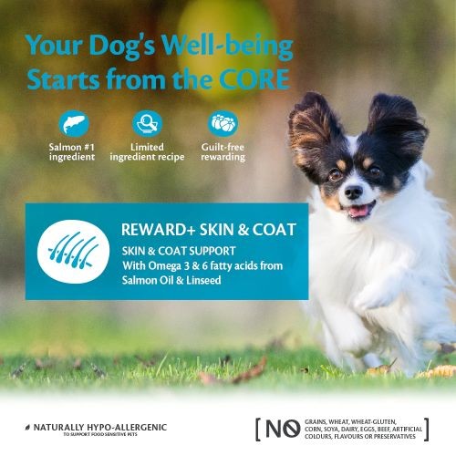Wellness Core Reward+ Dog Treats for Skin & Coat with Salmon - 170g