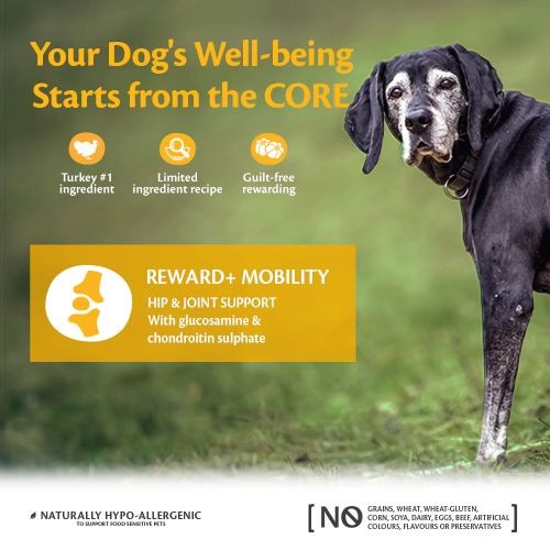 Wellness Core Reward+ Dog Treats for Mobility with Turkey- 170g