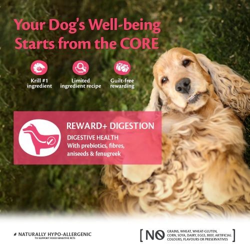 Wellness Core Reward+ Digestion Dog Treats with Krill - 170g