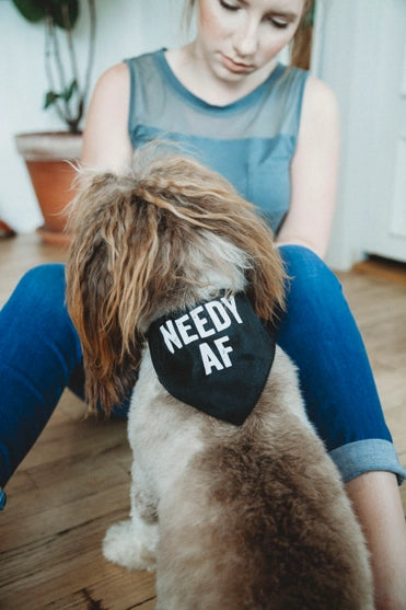 Needy Af Pet Bandana/Collar