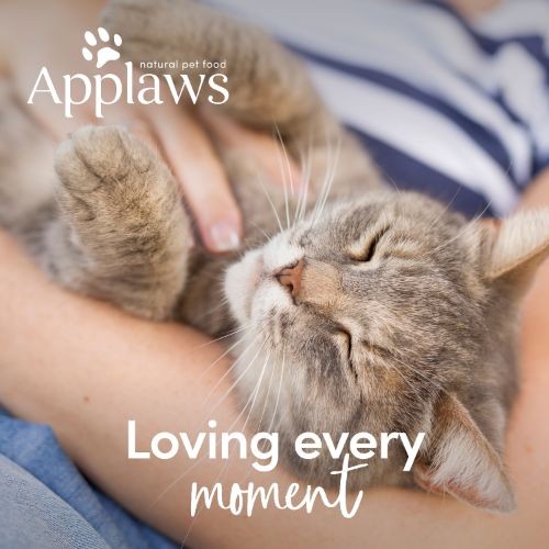 Applaws Natural Cat Tins with Ocean Fish in Broth 24 x 70g