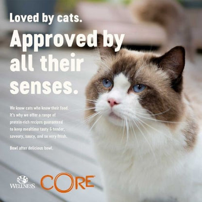 Wellness CORE Tender Cuts Turkey Selection Multipack Wet Adult Cat Food 6 x 85g