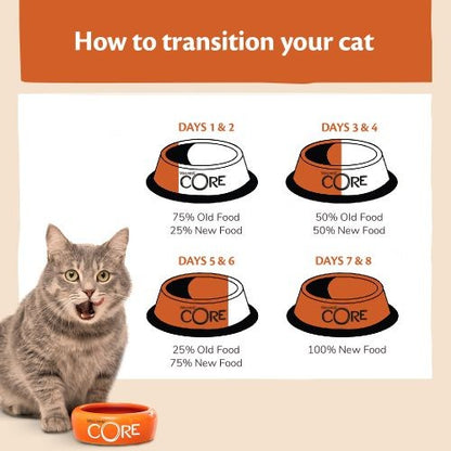 Wellness CORE Tender Cuts Turkey Selection Multipack Wet Adult Cat Food 6 x 85g