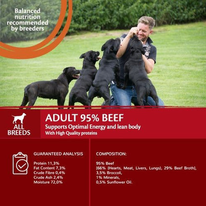 Wellness Core 95% Beef with Broccoli Wet Adult Grain Free Wet Dog Food 6 x 400g