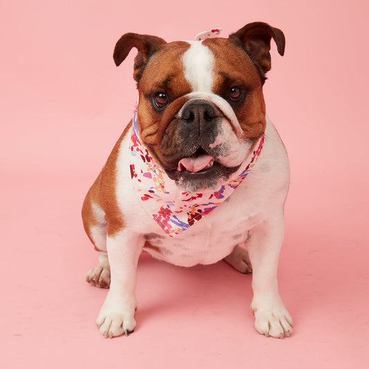 DOG BANDANA - BOLD FLORAL