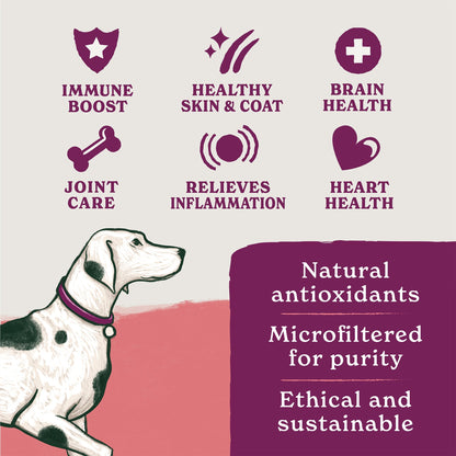 British Classics Dog Food Taster Pack
