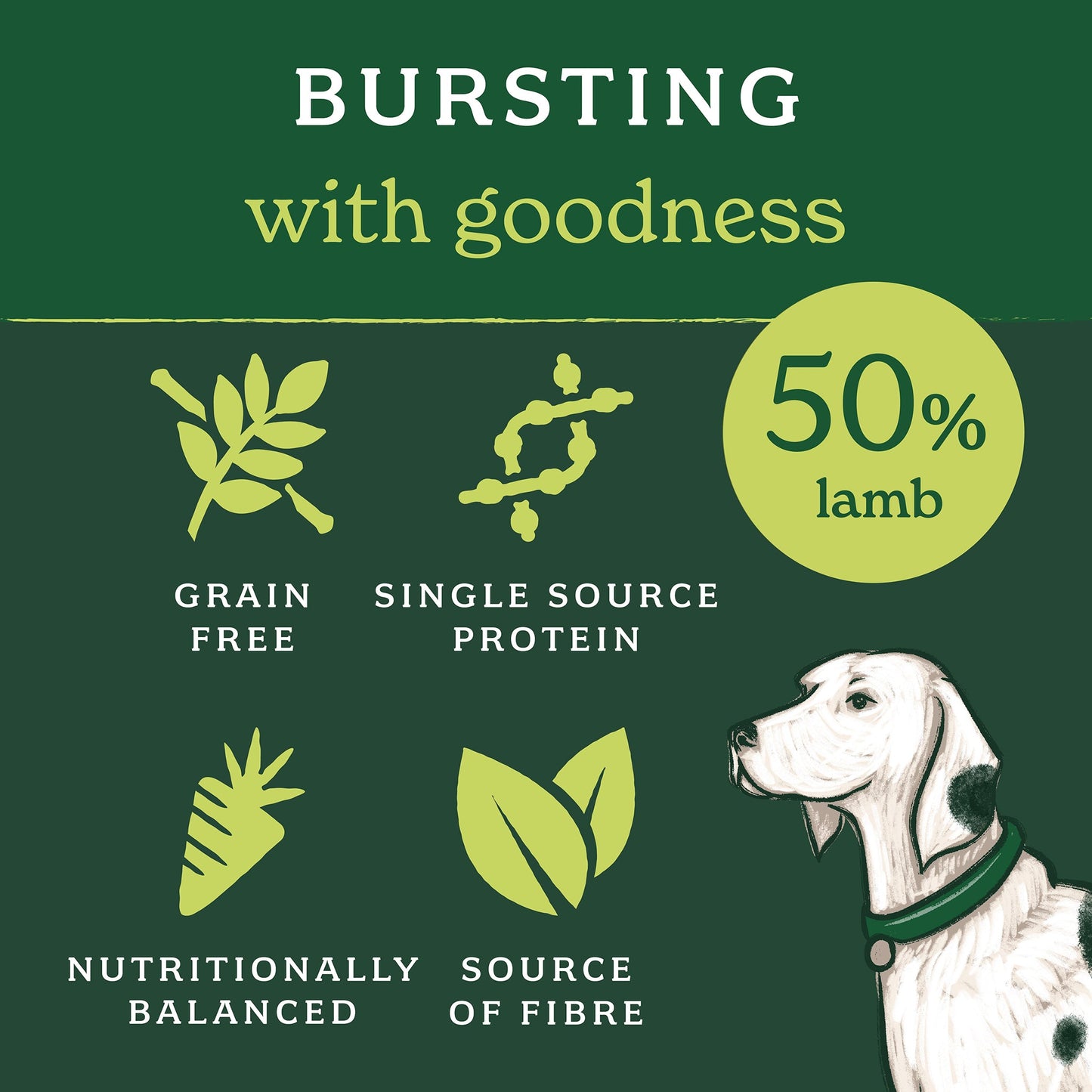 Grain-Free Lamb Mixed Food Bundle