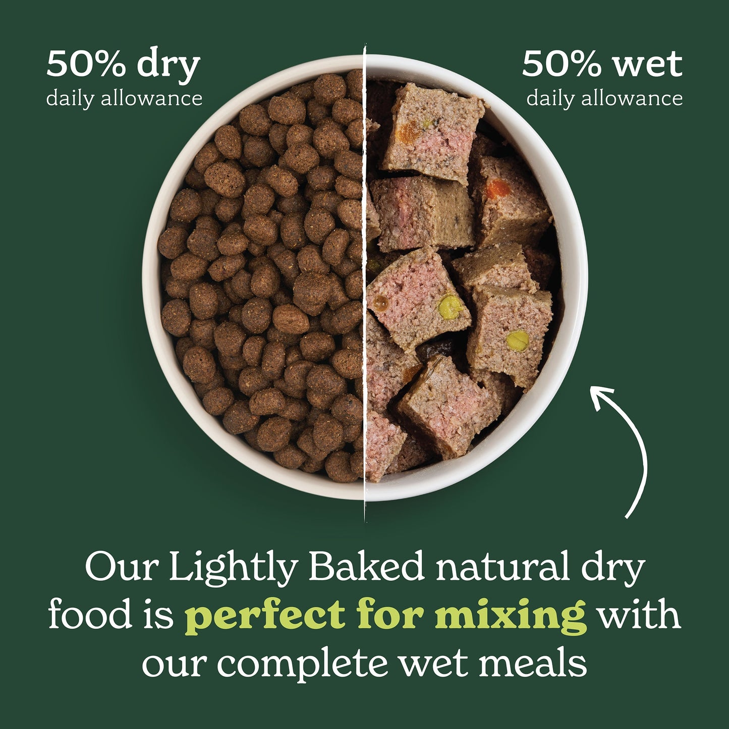 Lamb & Turkey Wet Food + Lamb Lightly Baked Bundle