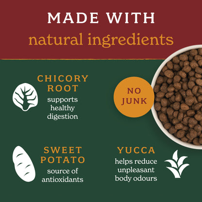 Turkey Lightly Baked Natural Dry Dog Food