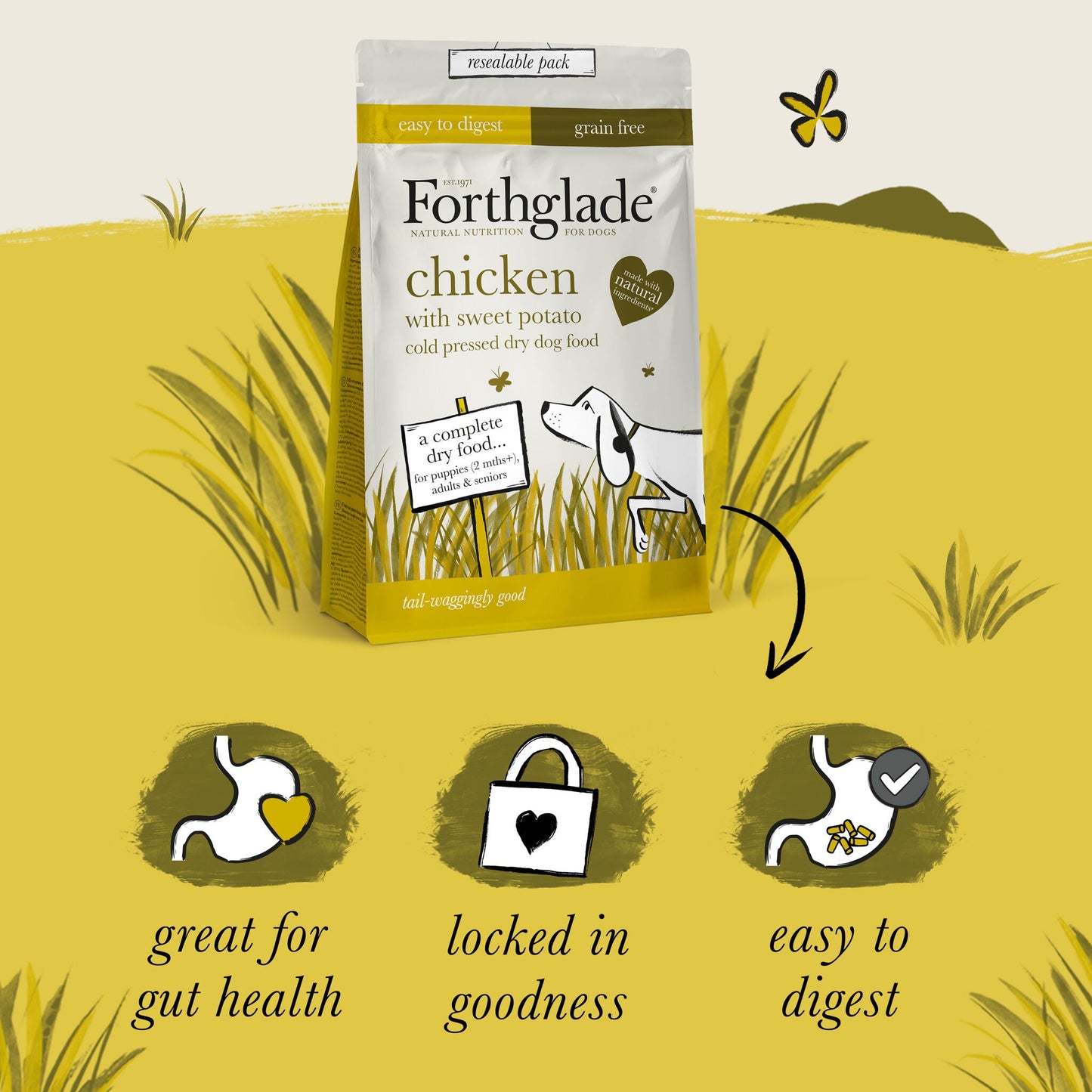 Chicken Cold Pressed Natural Grain Free Dry Dog Food