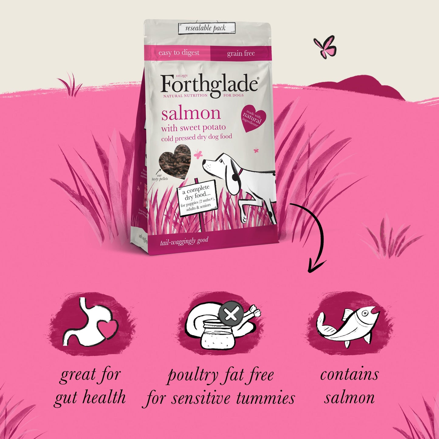 Salmon Grain Free Cold Pressed Natural Dry Dog Food