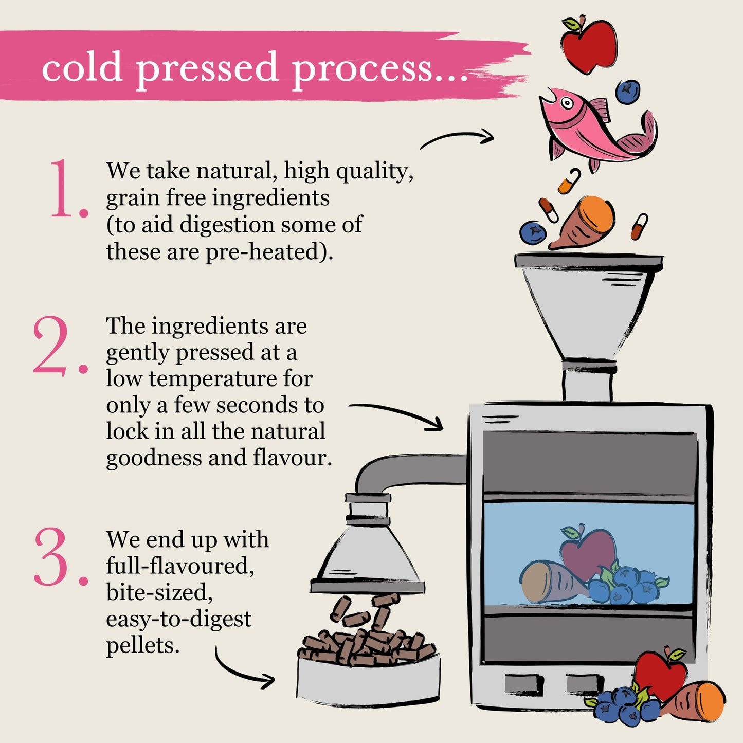 Salmon Grain Free Cold Pressed Natural Dry Dog Food