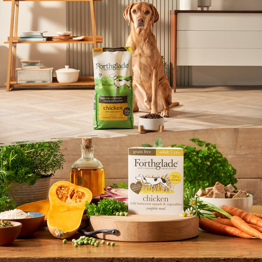 Grain-Free Chicken Mixed Food Bundle