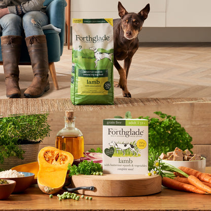 Grain-Free Lamb Mixed Food Bundle