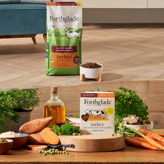 Grain-Free Turkey Mixed Food Bundle
