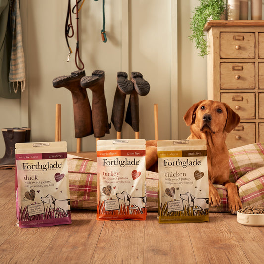 Poultry Cold Pressed Dry Food Flavour Bundle (3 x 6kg)
