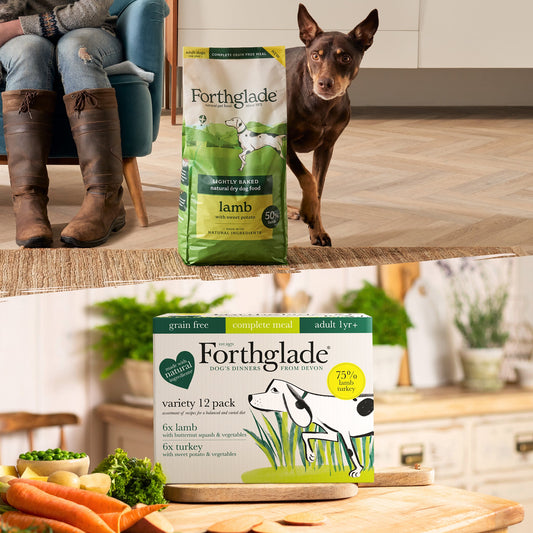 Lamb & Turkey Wet Food + Lamb Lightly Baked Bundle
