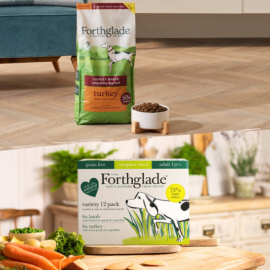 Lamb & Turkey Wet Food + Turkey Lightly Baked Bundle