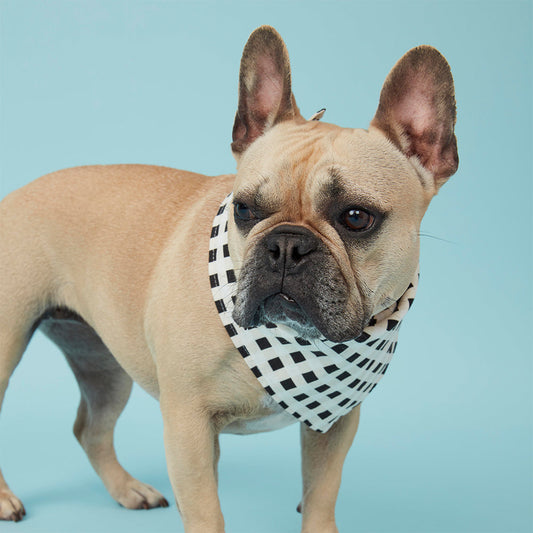 DOG BANDANA - CHECK BLACK & WHITE