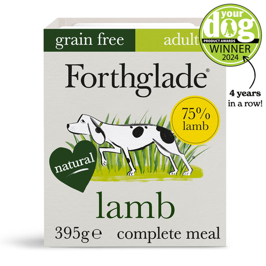 Lamb With Butternut Squash & Vegetables Natural Wet Dog Food