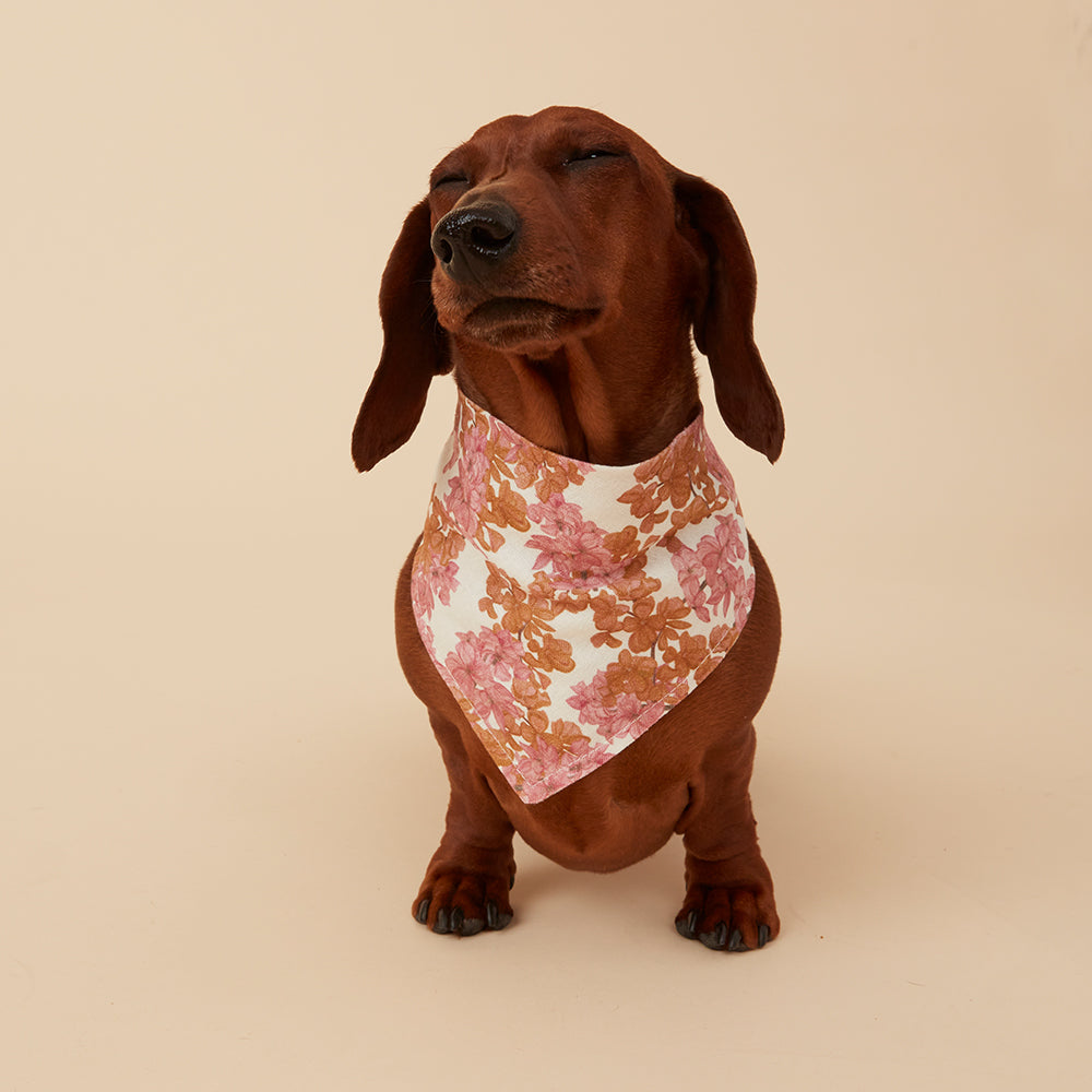 DOG BANDANA -  PINK FLORAL