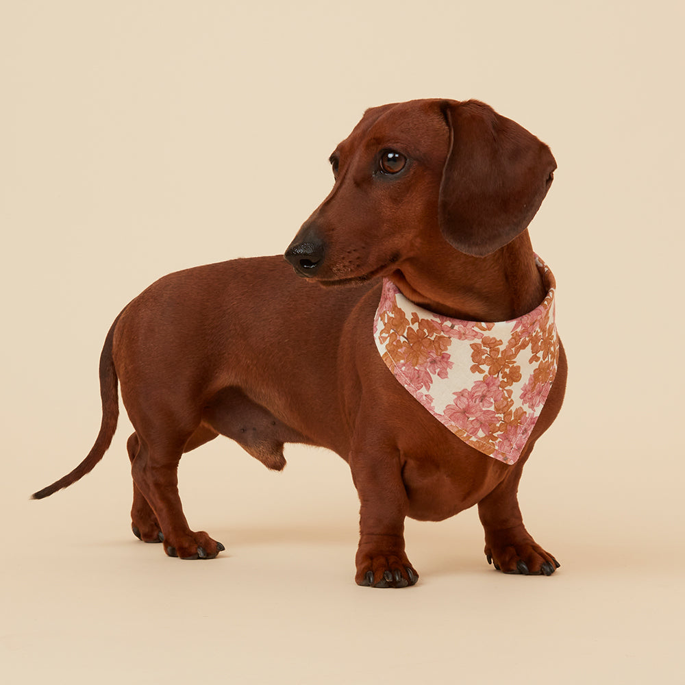 DOG BANDANA -  PINK FLORAL