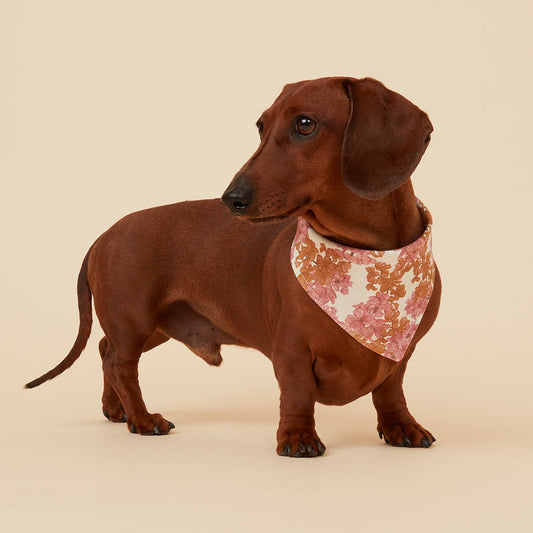 DOG BANDANA -  PINK FLORAL