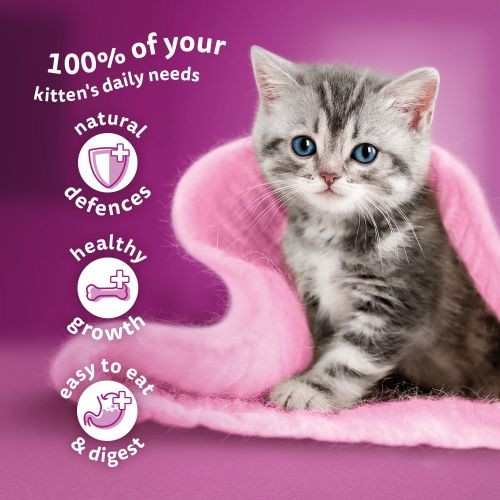 Whiskas 2-12 Months Kitten Food Pouches Poultry Selection in Jelly 12 x 100g