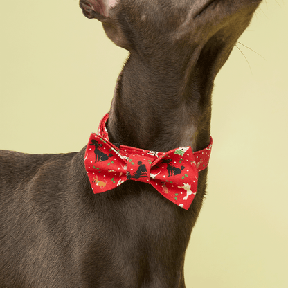 DOG BOW TIE - FESTIVE RED PRINT