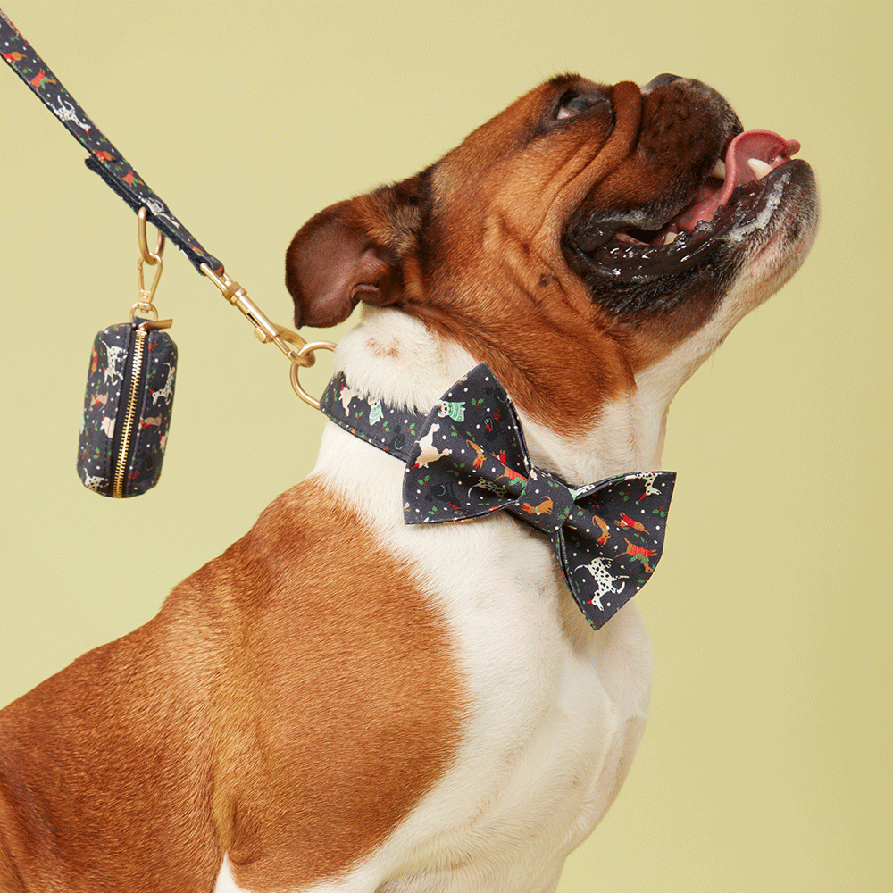 DOG BOW TIE - FESTIVE NAVY PRINT
