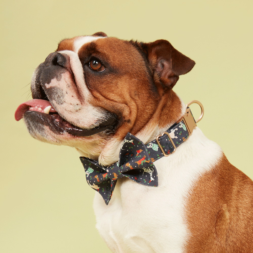 DOG BOW TIE - FESTIVE NAVY PRINT
